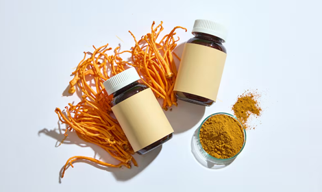 What Is cordycepin powder? Benefits, Sources, and Applications